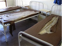 Hospital Beds